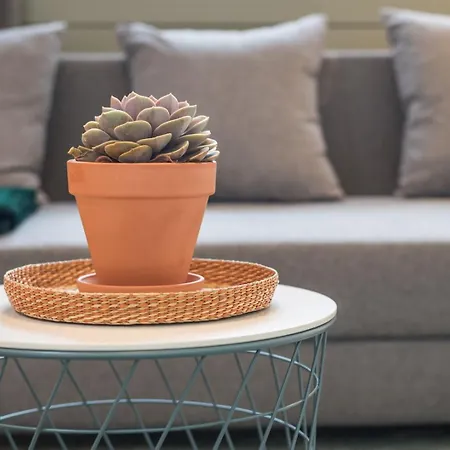 公寓 Guestready - Charming In Porto!