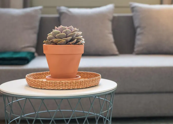 Apartment Guestready - Charming In Porto!